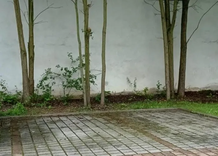 *neu*family&work*wlan*ntflx*cozy*zentrum*toplage Apartament *